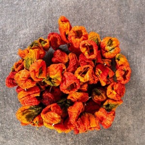 Kurutulmuş Acı Topak Antep Dolmalık Biber (1 dizim takriben 45-50 adet)