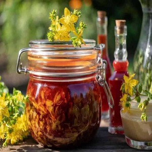 Doğal Sarı Kantaron Yağı 100 ML Özel Şişesinde 