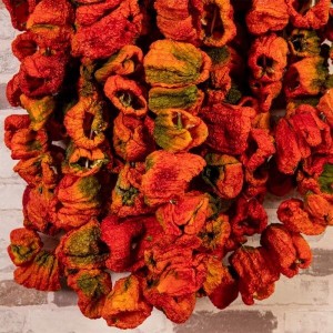 Kurutulmuş Acı Topak Antep Dolmalık Biber (1 dizim takriben 45-50 adet)